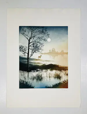 France Hilon - Paard in landschap kopen? Bied vanaf 75!