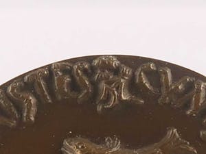 Niel Steenbergen - Bronzen penning, Carnaval kopen? Bied vanaf 90!