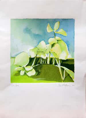 Fon Klement - Hommage aan Noord-Holland - zeefdruk 1994 verkocht voor € 75!