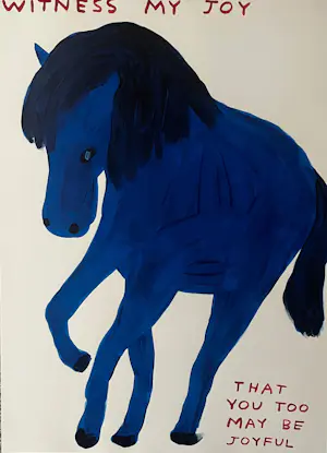 David Shrigley - Witness My Joy kopen? Bied vanaf 1750!