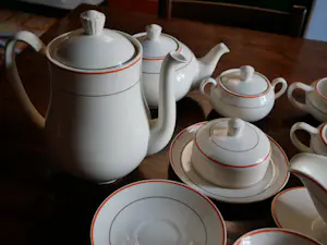 Firma Regout & Co - servies kopen? Bied vanaf 100!