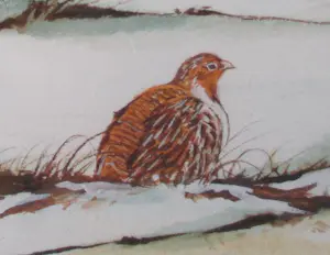 Ari Stolk - Patrijzen en eenden in winterlandschap kopen? Bied vanaf 159!