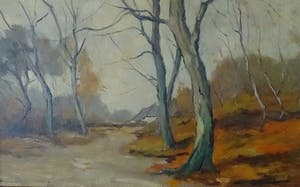 Anton Jakma - Veluws herfstlandschap kopen? Bied vanaf 50!