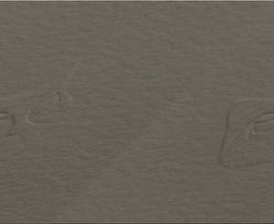 Leonor Fini - Aquatint La Sorcière sur le Balai kopen? Bied vanaf 30!