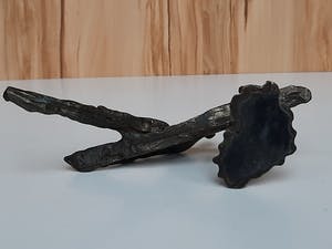 Corry Ammerlaan - In balans kopen? Bied vanaf 1!