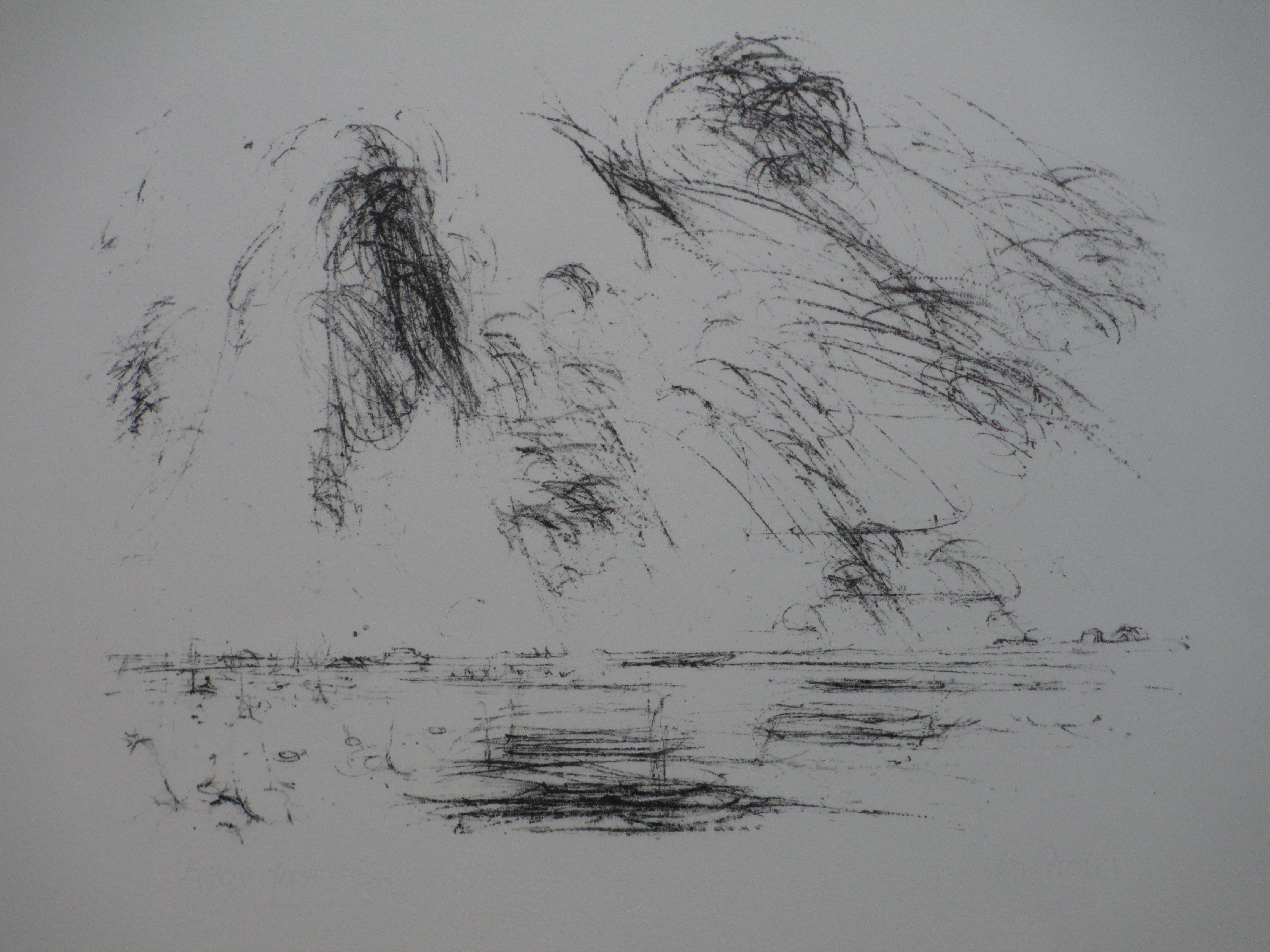 Willem den Ouden - Uiterwaardenlandschap - Litho verkocht voor € 60!