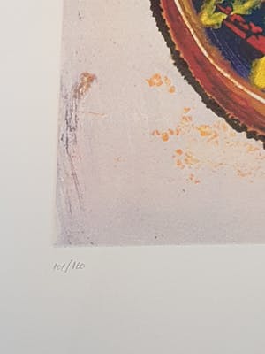 Jan te Wierik - Tweeling kopen? Bied vanaf 60!