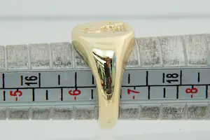 70 - Gave & massief 18Krt geel gouden zegelring met een fraai draak kopen? Bied vanaf 760!