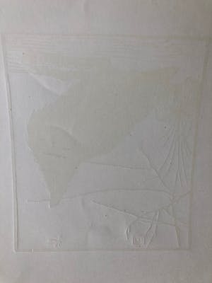 Jan Mankes - Houtsnede kleine kraai kijkend naar mugje - Gesigneerd - 1918 kopen? Bied vanaf 395!