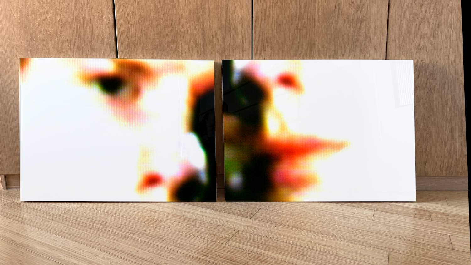 Bas van Tol - Gezicht kopen? Bied vanaf 100!