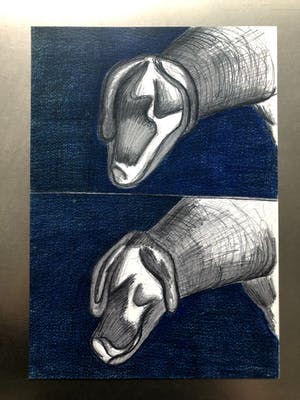 Paul van der Eerden - Dogcows kopen? Bied vanaf 10!