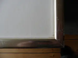 Ad van Hassel - Zeefdruk. ”Tulpen VII” ingelijst kopen? Bied vanaf 40!