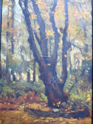 Cornelis Kievit - Dwarreling. verkocht voor € 100!