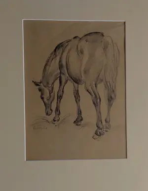 Gerard Hordijk - Lippizaner paard kopen? Bied vanaf 20!