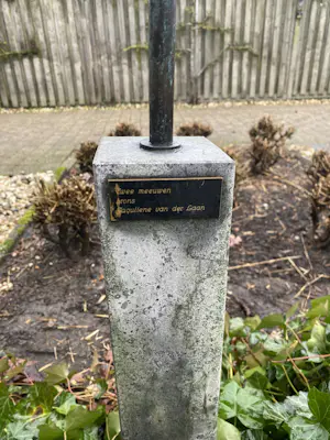 Jacqueline van der Laan - Twee meeuwen kopen? Bied vanaf 1200!