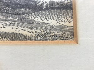 Niet of onleesbaar gesigneerd - Knotwilgen kopen? Bied vanaf 1!