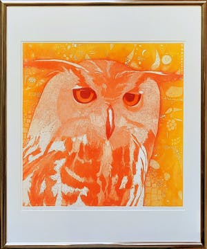 Toni de Klerk - kleurets - Bubo Bubo I - strak ingelijst - 21859 kopen? Bied vanaf 50!