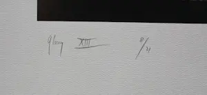 Rob Scholte - Zeefdruk: Glossy XIII - 2015 kopen? Bied vanaf 275!