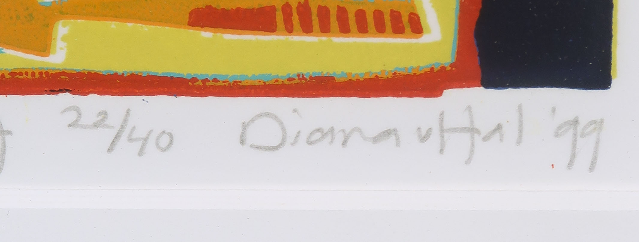 Diana van Hal - Zeefdruk, So many ways to catch Fish 7 - Ingelijst kopen? Bied vanaf 20!