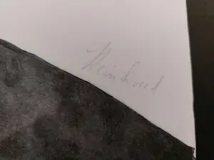 Reinhoud D'Haese - kleurenets - titel: Schaduw - oplage 40 stuks - CoBrA - ingelijst kopen? Bied vanaf 160!