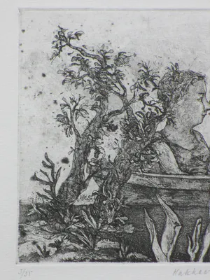 Fer Hakkaart - Koppel in roeibootje - Ets kopen? Bied vanaf 80!