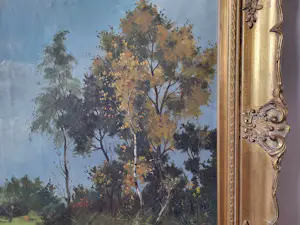 Adrien Glaudemans - Zicht op Budel kopen? Bied vanaf 200!