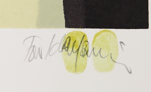 Fon Klement - Boardsnede, Floraison kopen? Bied vanaf 70!