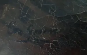 Cornelis Groeneveld - Fruit op tapijt kopen? Bied vanaf 200!