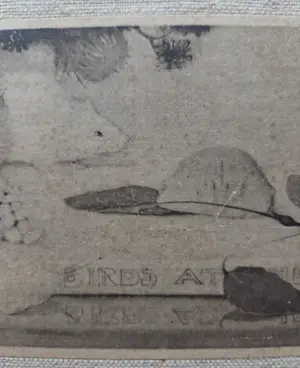 Jan Mankes - Muisje op boekje. kopen? Bied vanaf 79!