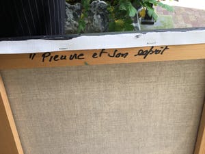 Amaury Dubois - C4752, Pieune et son esprit (Octopus en zijn geest) kopen? Bied vanaf 750!