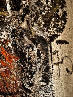 George Ebrin Adringa - (Ivoorkust 1933) GROOT olieverf "Masque Africaine" gesigneerd kopen? Bied vanaf 10!