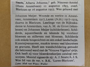 Alberta Johanna Meijer-Smetz - tulpen in pot kopen? Bied vanaf 1!