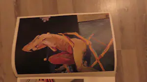 Diverse kunstenaars - Der Akt in der Malerei Meisterwerke in Gross formaat kopen? Bied vanaf 35!