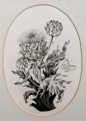 Dick Stolwijk - Eigen druk - vlinder - bij en bloemen - zeer verfijnd kopen? Bied vanaf 130!