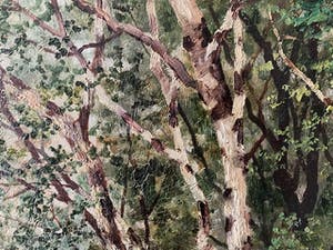 eugene fehdmer - Boswandeling kopen? Bied vanaf 145!