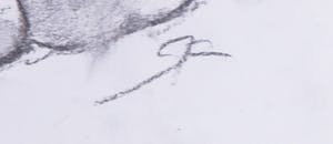 Jan Sluijters (jr.) - Krijttekening, Zittend naakt kopen? Bied vanaf 1!