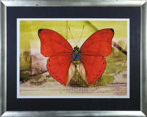 Mark Verdoes - Zeefdruk, Hij kan linksaf of rechts - ingelijst verkocht voor € 20!