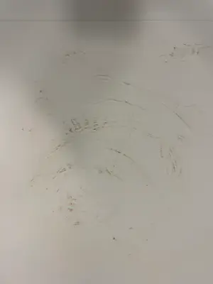 Charlotte Molenkamp - Vogels in blauw kopen? Bied vanaf 50!