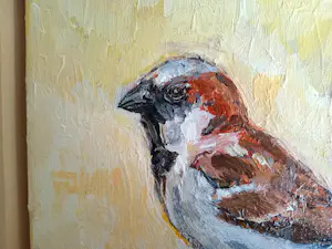 Tanja Koelemij - Musje 2 kopen? Bied vanaf 60!