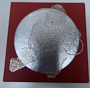 Carolein Smit - Bronzen sculptuur | Kind met bal kopen? Bied vanaf 175!