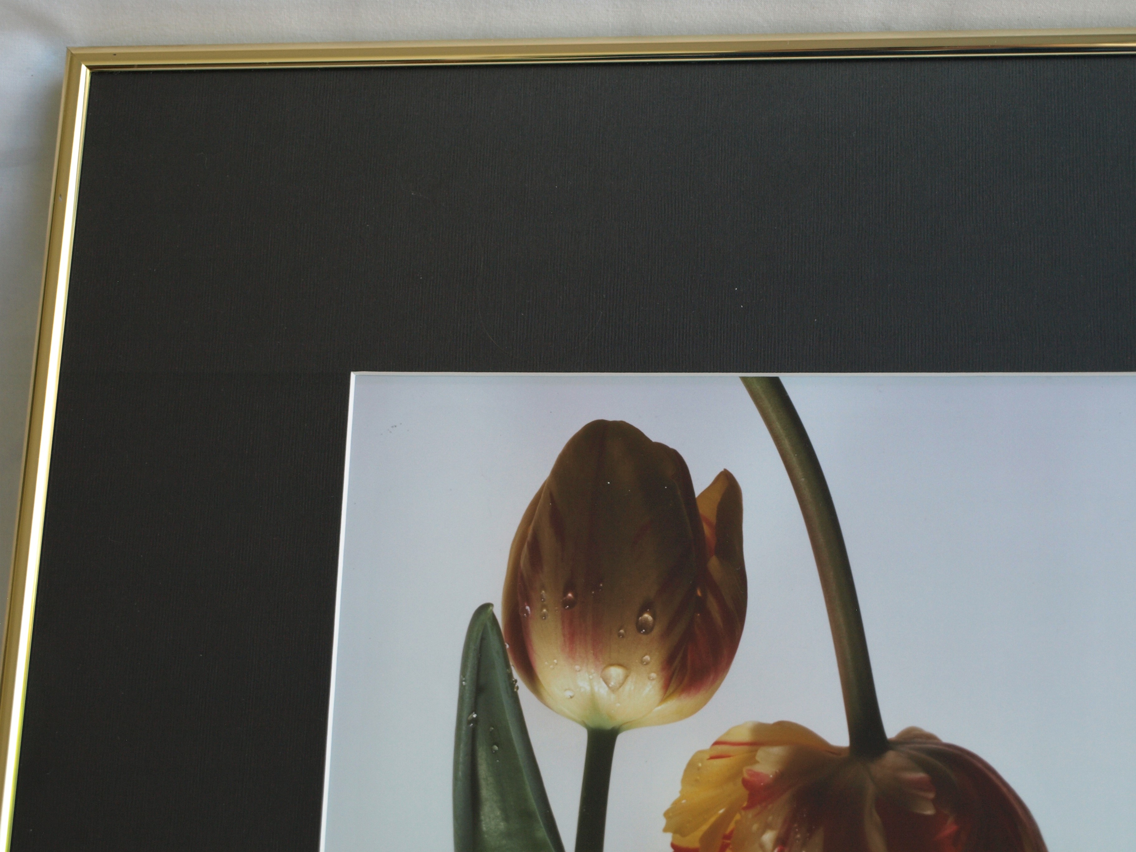 Paul Huf - Foto , Flowers Corridor – gesigneerd & ingelijst - 1984  kopen? Bied vanaf 75!