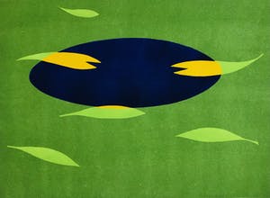 Judith Stolker - - vijver - kopen? Bied vanaf 45!