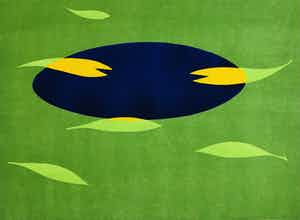 Judith Stolker - - vijver - verkocht voor € 45!