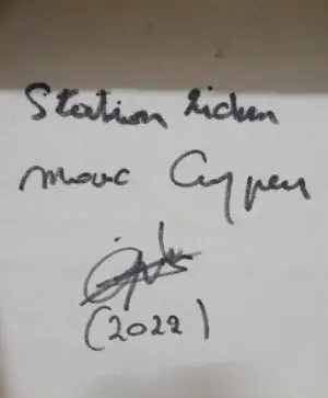 Marc Cuypers - station Zichem Marc Cuypers kopen? Bied vanaf 250!