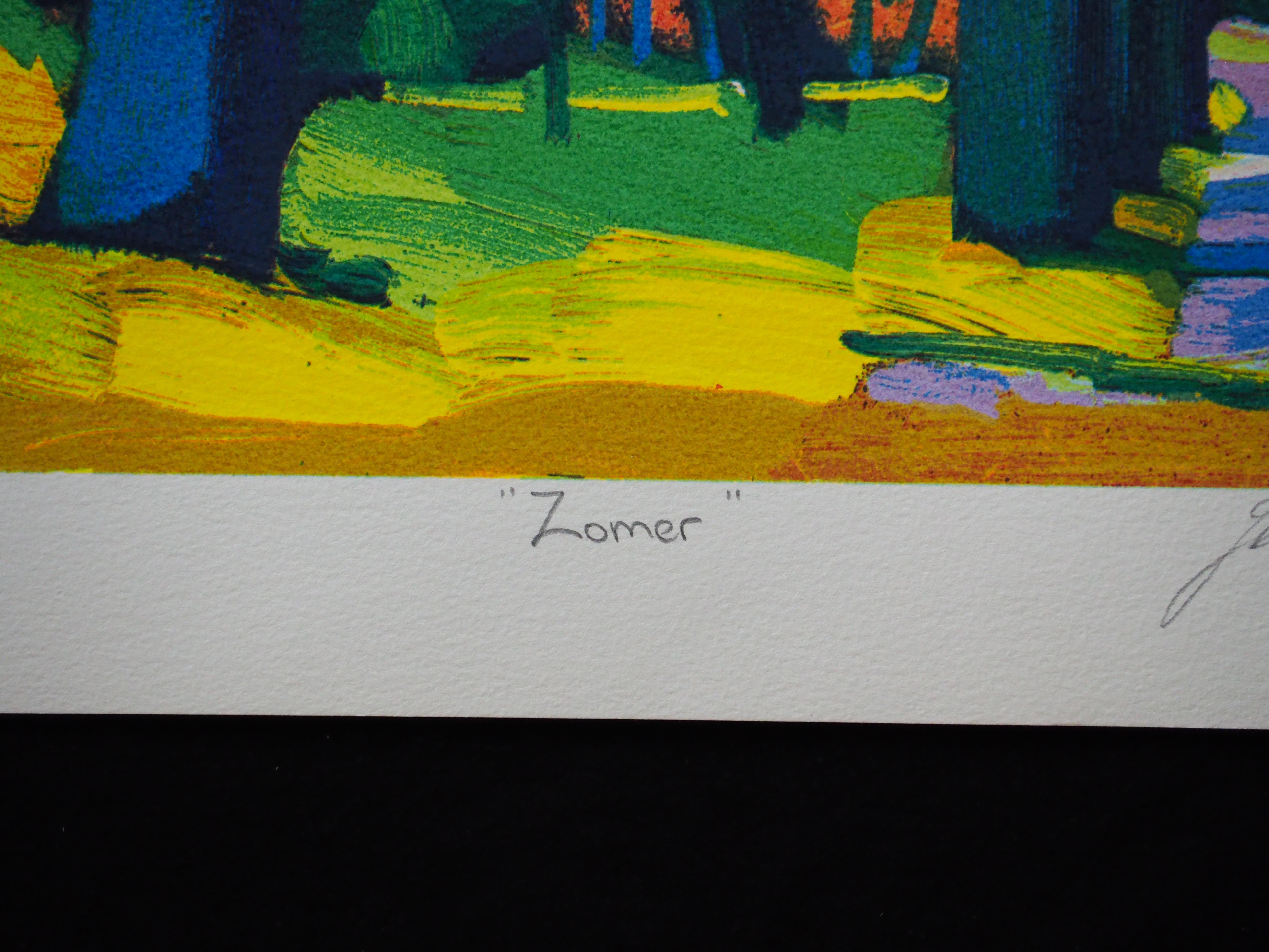 Jentsje Popma - Zomer kopen? Bied vanaf 50!