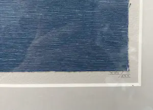 Olivier Julia - Pré de la Mer - Houtsnede, oplage 30 - Gesigneerd kopen? Bied vanaf 126!