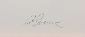 Ton Zwerver - Foto op aluminium, Sculptuur voor het Moment - Ingelijst (Groot!) kopen? Bied vanaf 100!