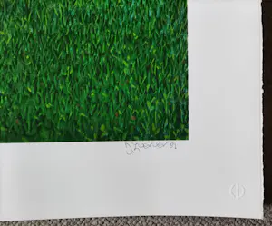 Dolf Zwerver - Fietser met vogelkooi kopen? Bied vanaf 200!