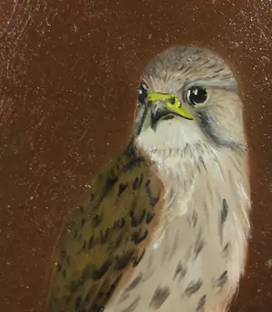 Henk Poeder - Olieverf op paneel, Torenvalk - Ingelijst kopen? Bied vanaf 1!