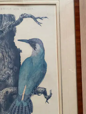 Jan Christiaan Sepp - Fraaie litho naar Jan Christiaan Sepp & Nozeman 18e eeuw kopen? Bied vanaf 40!